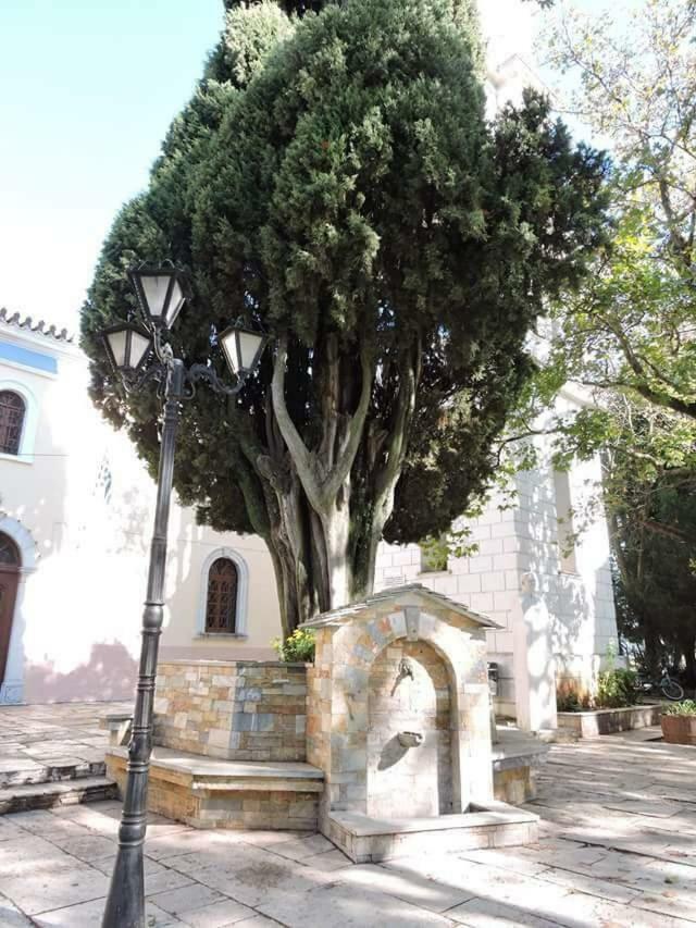 Atrium - Lafkos Villa Bagian luar foto