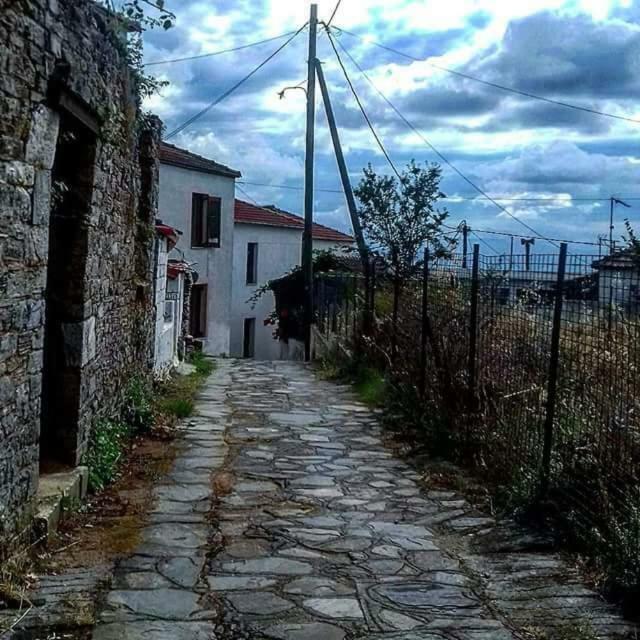 Atrium - Lafkos Villa Bagian luar foto